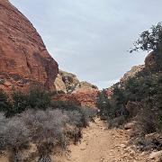 Red Rock Canyon 1-9-2024